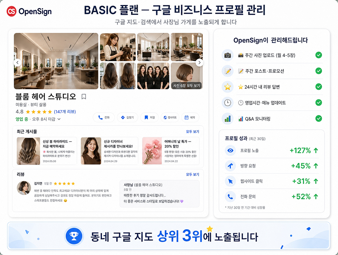 BASIC Google Business Profile 관리 화면